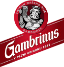 Gambrinus Originál 10, světlé výčepní, 20x0,5l