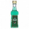 Hill's Absinth mini 70% 0,05l