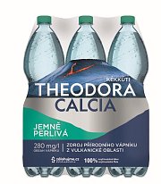 Theodora Calcia jemně perlivá 6x1,5l
