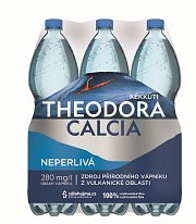 Theodora Calcia neperlivá 6x1,5l