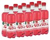 ZON Malina 10x0,5l