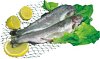 Pstruh Kuchaný Mražený 250-300g/ks 5kg