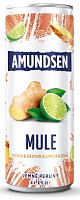 Amundsen Mule - zázvor a limeta 24x0,25l - plech