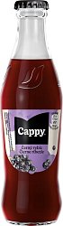 Cappy Černý rybíz 24x250ml