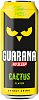 Guarana Energy Drink Cactus 12x0,5l